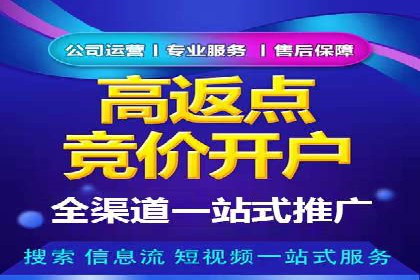 Sem优化公司实例：电商流量提升策略